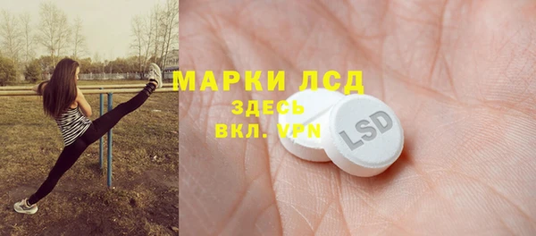 ПСИЛОЦИБИНОВЫЕ ГРИБЫ Арсеньев