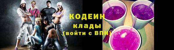 ПСИЛОЦИБИНОВЫЕ ГРИБЫ Арсеньев