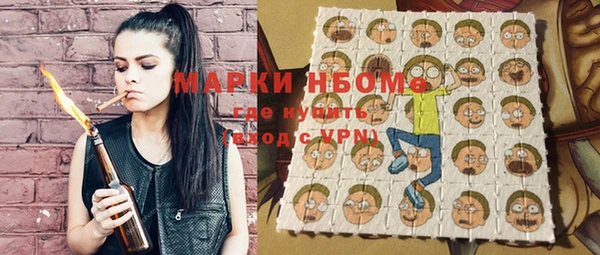 ПСИЛОЦИБИНОВЫЕ ГРИБЫ Арсеньев