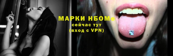 ПСИЛОЦИБИНОВЫЕ ГРИБЫ Арсеньев