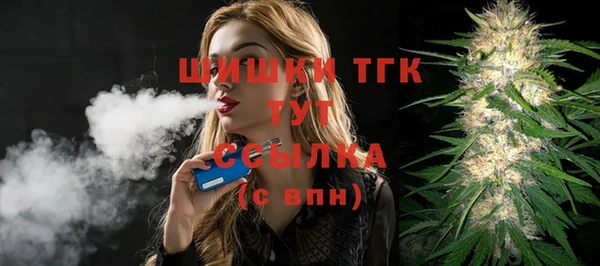 ПСИЛОЦИБИНОВЫЕ ГРИБЫ Арсеньев