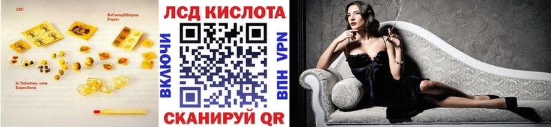 купить наркотики цена  Городовиковск  ЛСД экстази ecstasy 